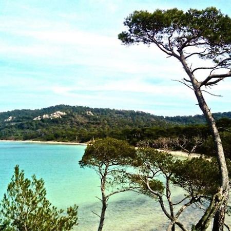 Ile De Porquerolles : T3 Climatise Vue Mer エクステリア 写真