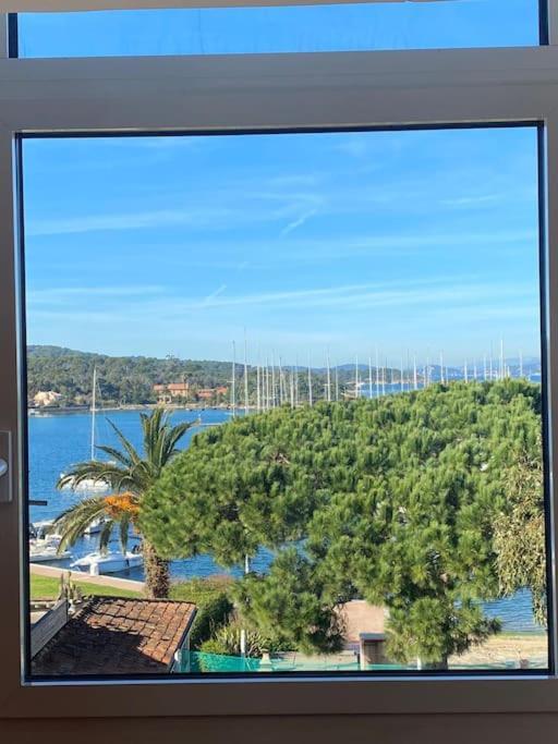 Ile De Porquerolles : T3 Climatise Vue Mer エクステリア 写真