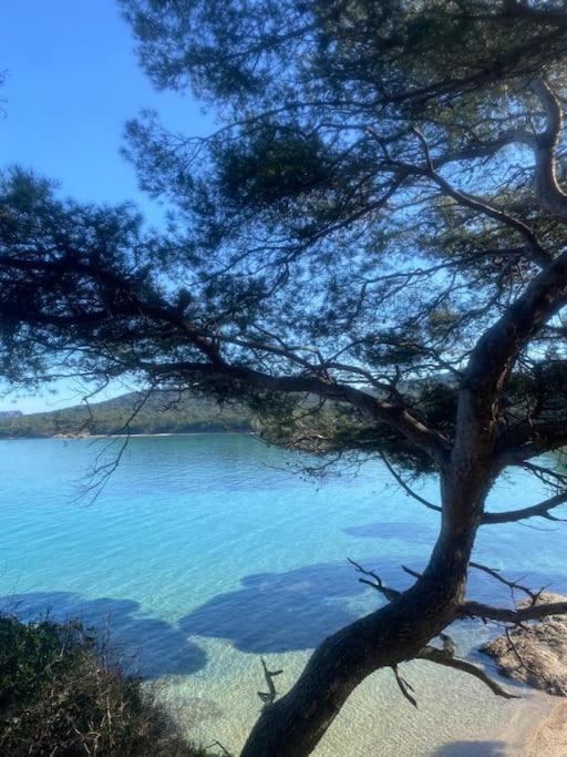 Ile De Porquerolles : T3 Climatise Vue Mer エクステリア 写真