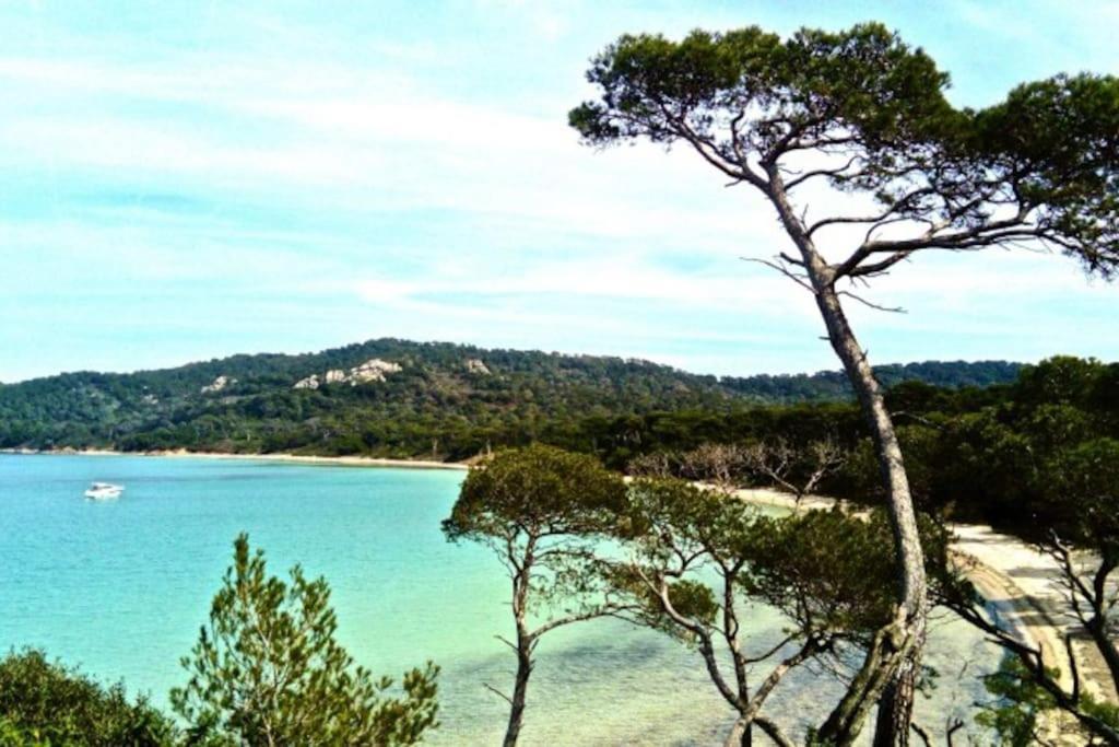 Ile De Porquerolles : T3 Climatise Vue Mer エクステリア 写真